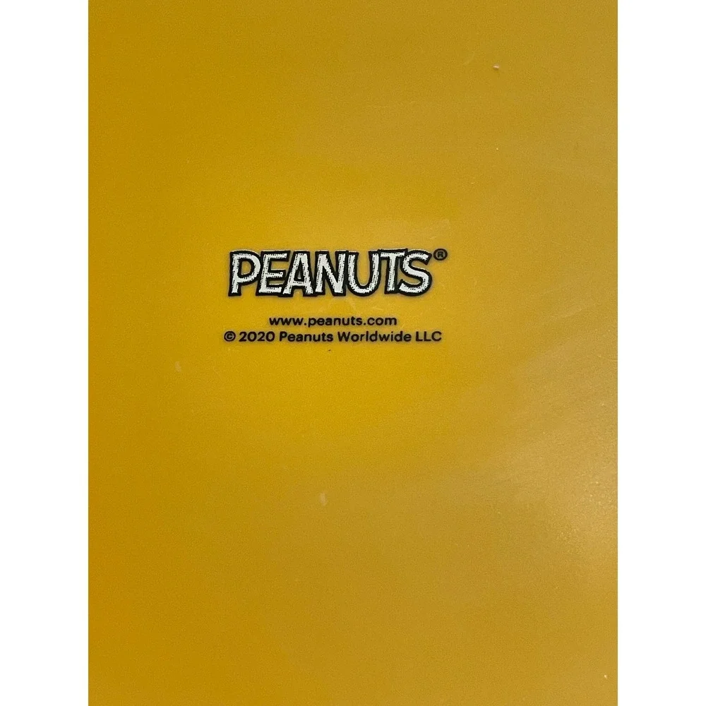Peanuts Charlie Brown Good Grief Yellow Ceramic Pet Bowl Zig Zag Stripe 2020